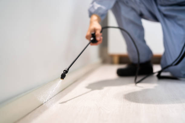 Best Mosquito Control Services  in Mount Vernon, OH