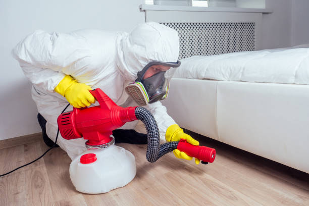 Reliable Mount Vernon, OH Pest Control Solutions