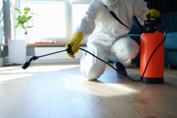 Best Termite Control Services  in Mount Vernon, OH