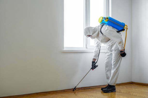 Best Affordable Pest Control Services  in Mount Vernon, OH