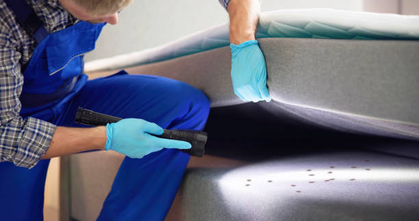 Best Best Pest Control Companies  in Mount Vernon, OH