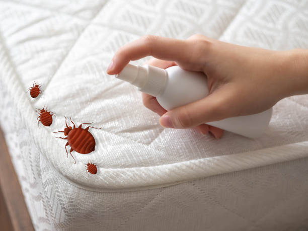 Pest Control Cost in Mount Vernon, OH