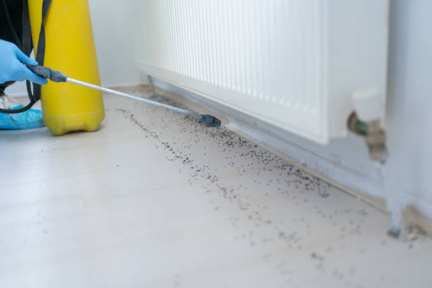 Best Commercial Pest Control Services  in Mount Vernon, OH