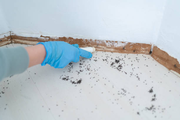 Best Best Pest Control Companies  in Mount Vernon, OH