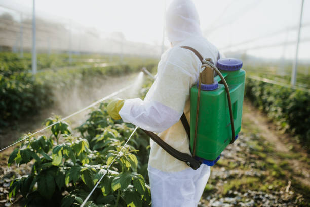 Best Pest Control Near Me  in Mount Vernon, OH